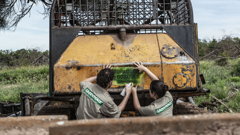 Greenpeace: “Es un gran paso”