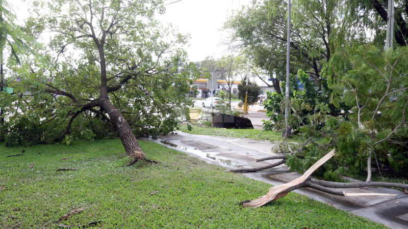 Seis lesionados durante el temporal en el Área Metropolitana