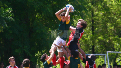 Torneo Reducido de Aranduroga