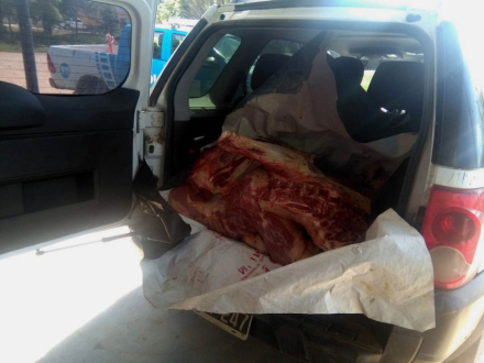 58camioneta-con-carne.jpg