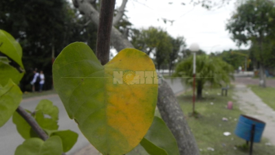 El otoño comienza con buenas perspectivas climáticas
