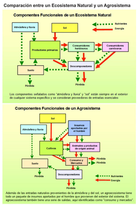 Geo-03-2019.-agrosistemas.jpg