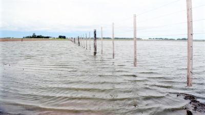A pesar de las contingencias climáticas, la soja manda en el NEA