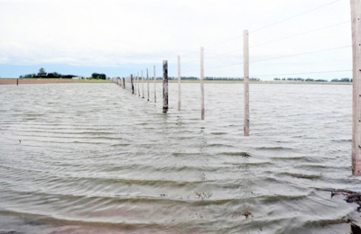 A pesar de las contingencias climáticas, la soja manda en el NEA