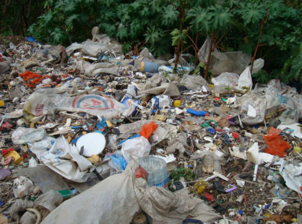 BASURAL-ANDRANI.jpg