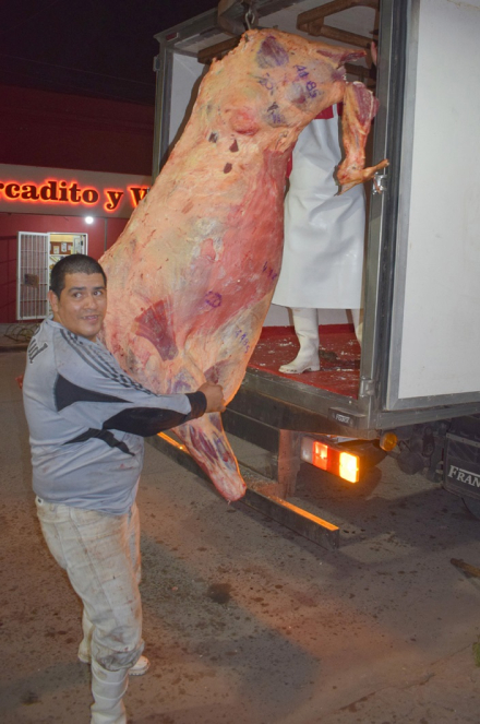 carne interior01.jpg
