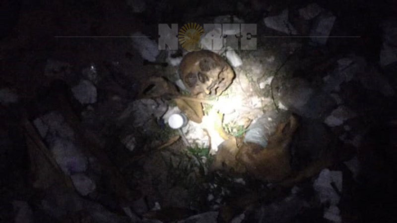 Gran Resistencia: encontraron un cráneo humano en un contenedor de residuos de la Zona Sur