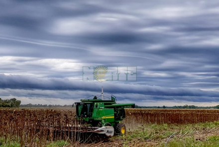 tormenta1.jpg
