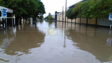 Charata temporal.jpg