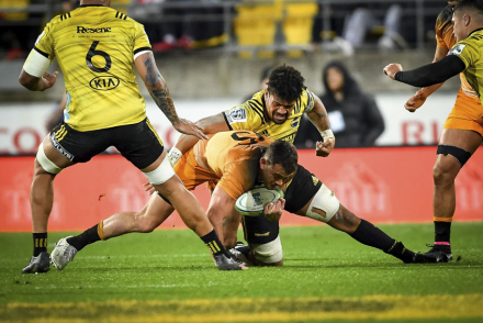 jaguares2.jpg