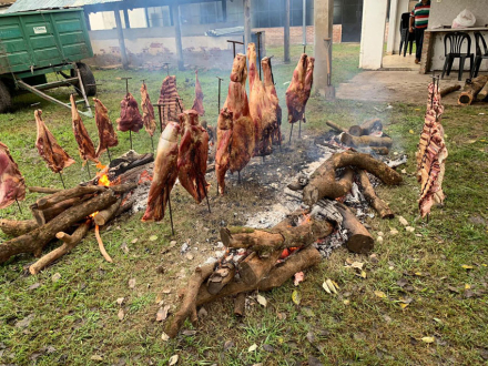 CARNE-DE-BUFALO1.jpg
