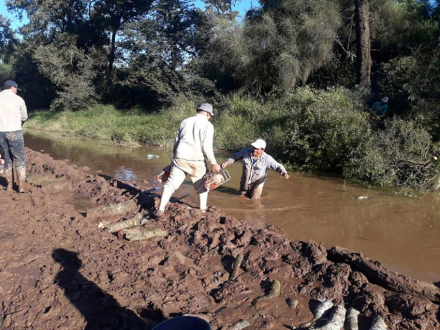 58caminos-rurales.jpg