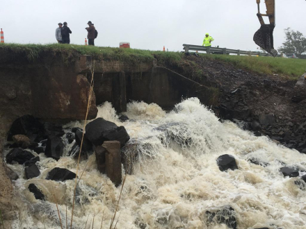 vialidad4.jpg