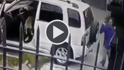 Intentaron robarle a punta de pistola y sus dos perros lo salvaron