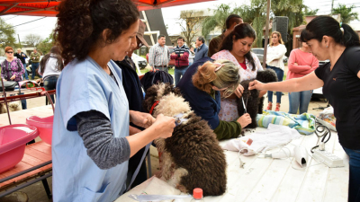 Primera jornada del cuidado de las mascotas en Villa El Dorado