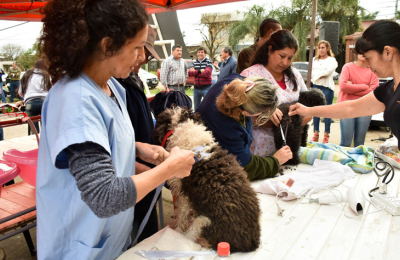Primera jornada del cuidado de las mascotas en Villa El Dorado