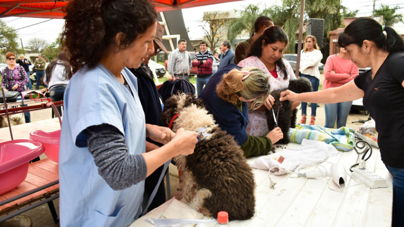Primera jornada del cuidado de las mascotas en Villa El Dorado