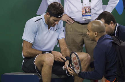 delpotro.jpg