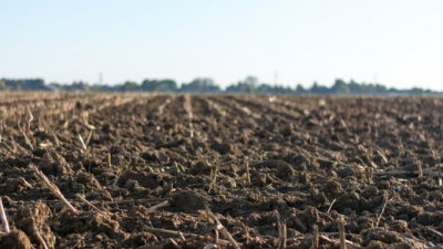 Cada cinco segundos se erosiona una porción de suelo equivalente a un campo de fútbol