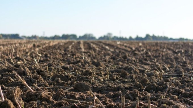 Cada cinco segundos se erosiona una porción de suelo equivalente a un campo de fútbol