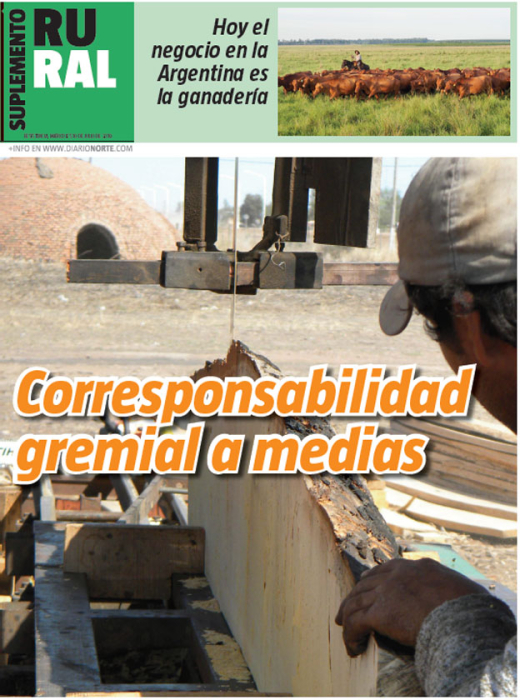 Corresponsabilidad gremial a medias