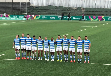pumas.jpg