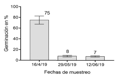 grafico1.jpg