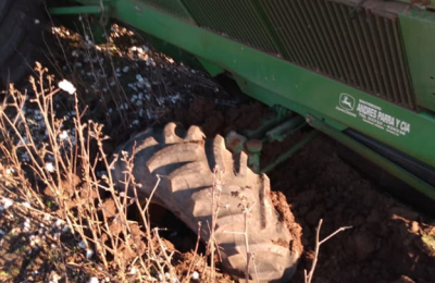 Tramo final de la cosecha de algodón con suelos muy blandos