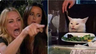 De dónde salió el meme de la mujer que grita al gato