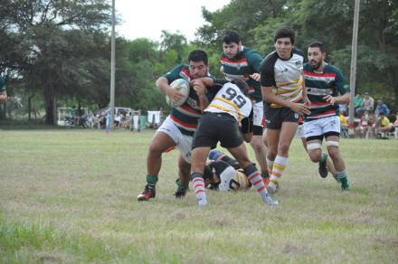 rugby ita-cotton.jpg