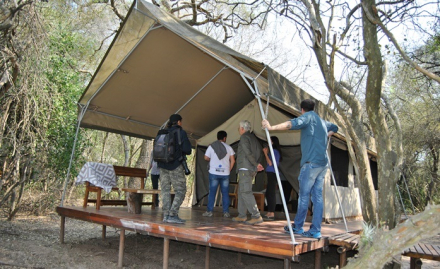 carpas1.jpg