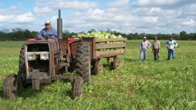 Así será la agenda por el Día del Agricultor
