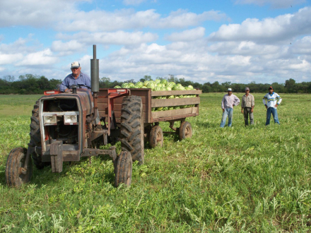 agricultor.jpg