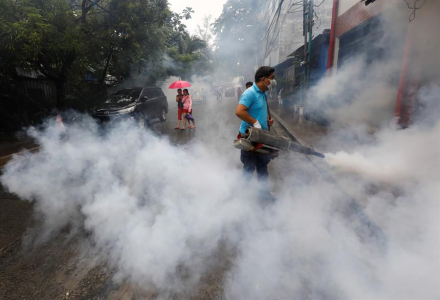 dengue01.jpg