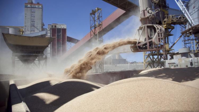 Histórico: China comprará harina de soja argentina