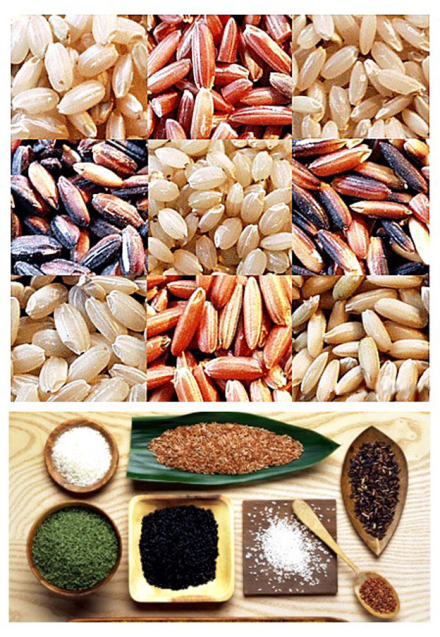 tipos-arroz8.jpg