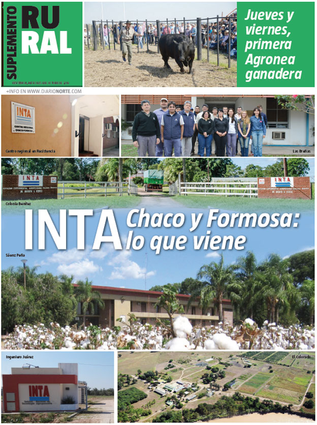 INTA Chaco y Formosa: lo que viene