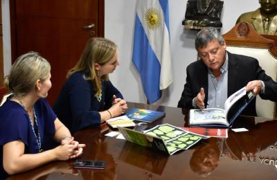 Chaco busca fortalecer cooperación comercial con el Reino Unido