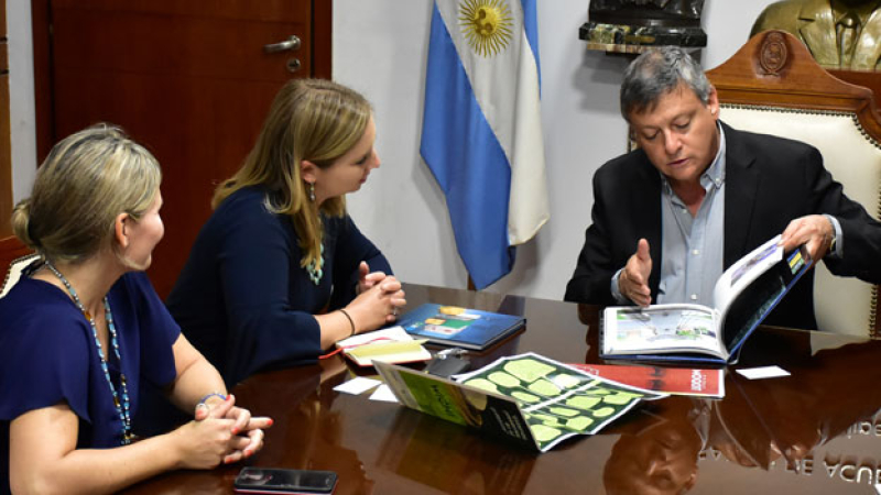 Chaco busca fortalecer cooperación comercial con el Reino Unido