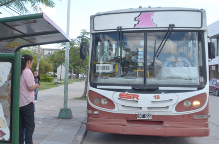 colectivo.jpg
