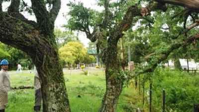 Varias localidades quedaron sin luz tras la tormenta