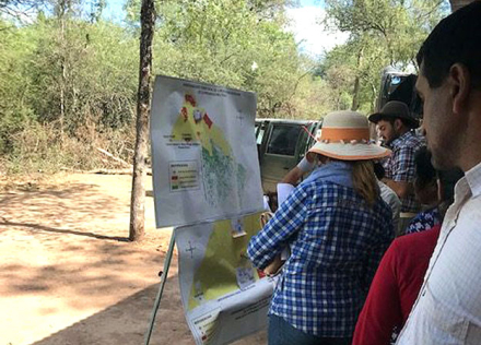 bosques-montes-(1).jpg