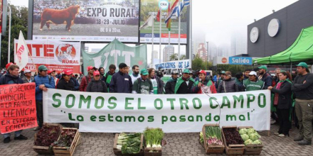 somos-el-otro-campo.jpg
