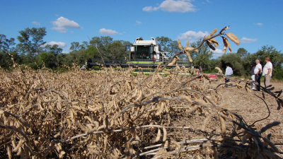 El departamento Almirante Brown expone su potencial productivo