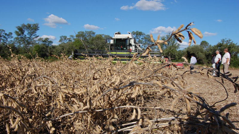 El departamento Almirante Brown expone su potencial productivo