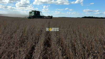El campo responde: se creó la mesa de enlace del Norte y hay paro de comercialización