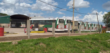 colectivos guardados.JPG