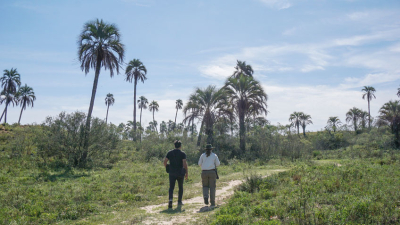 Senderismo: la experiencia amigable para recorrer un Parque Nacional