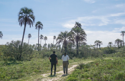 Senderismo: la experiencia amigable para recorrer un Parque Nacional