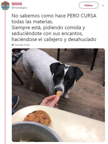 en-clases.jpg